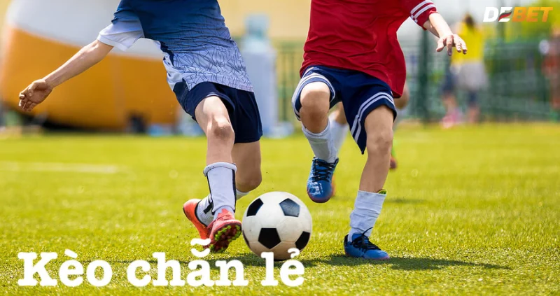 Một số loại kèo chẵn lẻ phổ biến và dễ chơi